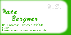 mate bergner business card